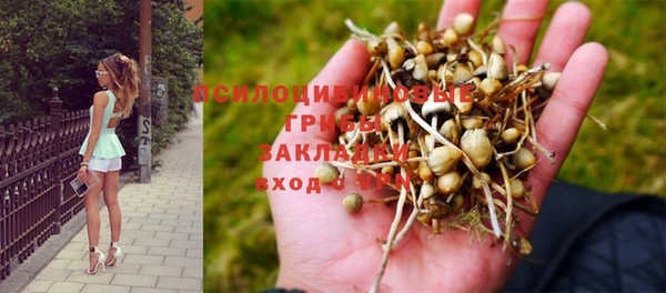 ПСИЛОЦИБИНОВЫЕ ГРИБЫ Лабытнанги