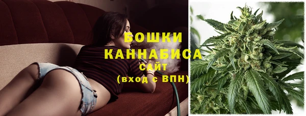 ГАЛЛЮЦИНОГЕННЫЕ ГРИБЫ Ладушкин