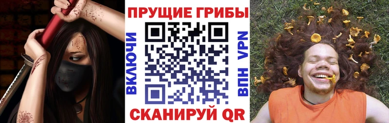 Псилоцибиновые грибы Psilocybine cubensis  Кыштым 