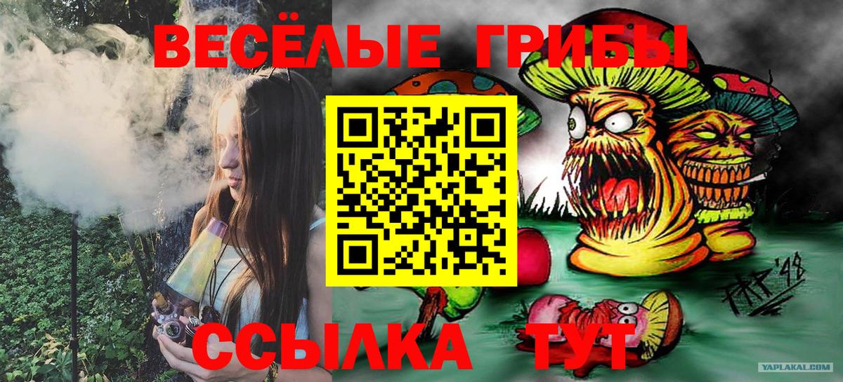 Псилоцибиновые грибы мицелий Кыштым