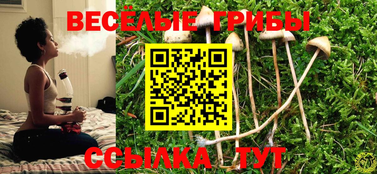 Псилоцибиновые грибы Psilocybe  Галлюциногенные грибы MAGIC MUSHROOMS  Вход с VPN  Кыштым 